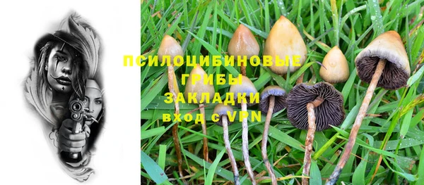 бошки Елизово
