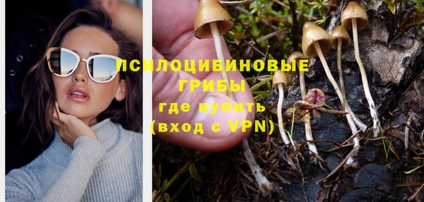 марки nbome Ельня