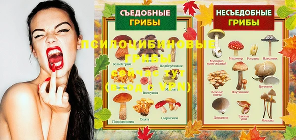 бошки Елизово