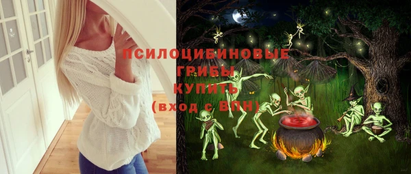 марки nbome Ельня