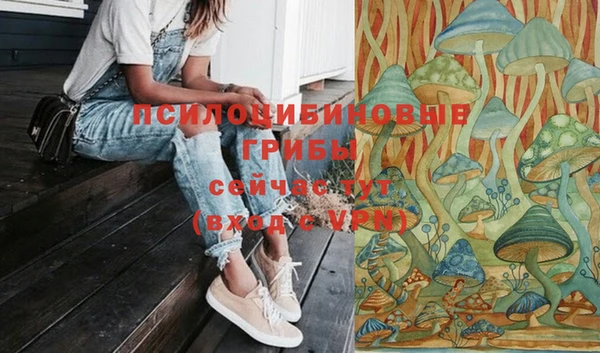 марки nbome Ельня