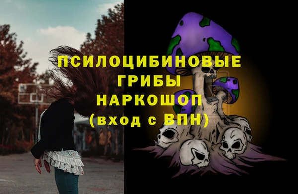 первитин Елабуга