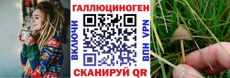 Галлюциногенные грибы прущие грибы  Тимашёвск 
